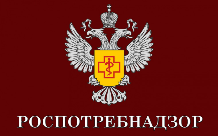 Начинает работу горячая линия по защите прав потребителей при оказании платных образовательных услуг.