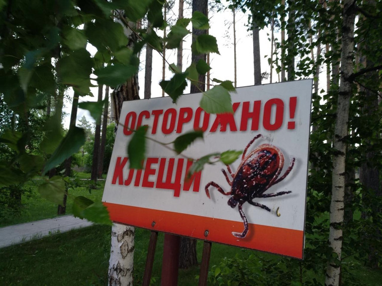 Горячая линия по профилактике клещевого энцефалита.